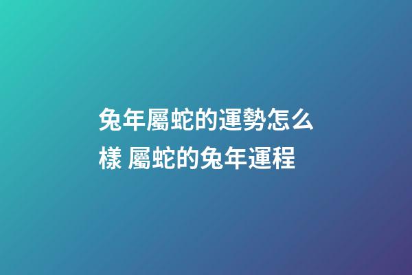 兔年屬蛇的運勢怎么樣 屬蛇的兔年運程-第1張-觀點-玄機派